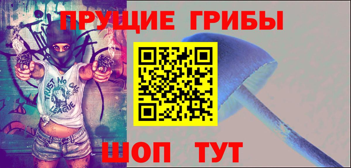 Шелехов  Псилоцибиновые грибы Psilocybine cubensis  Вход с VPN 